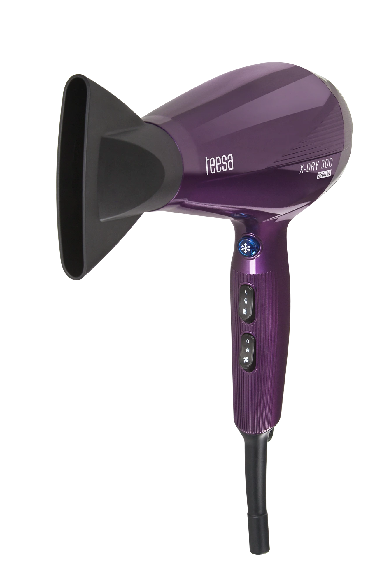 Teesa X-DRY 300 2200W plaukų džiovintuvas