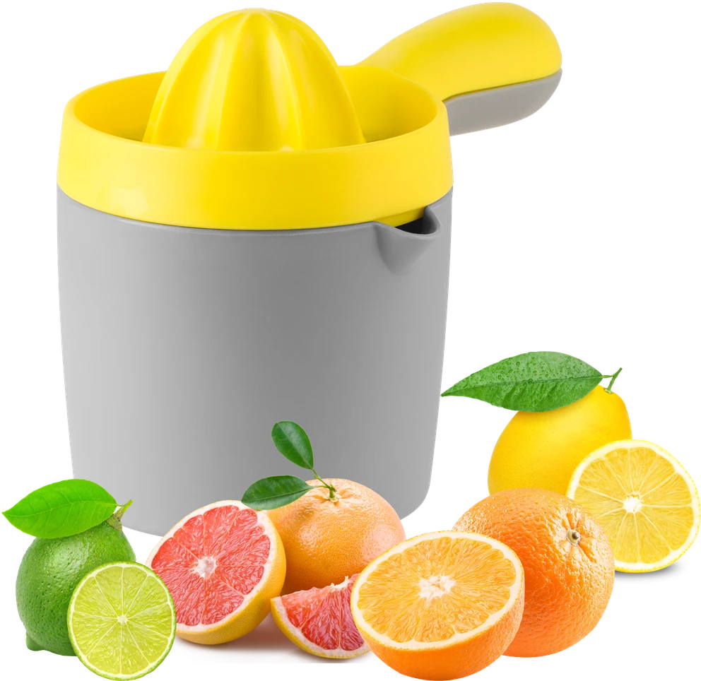 Teesa Rankinė citrusinių vaisių sulčiaspaudė