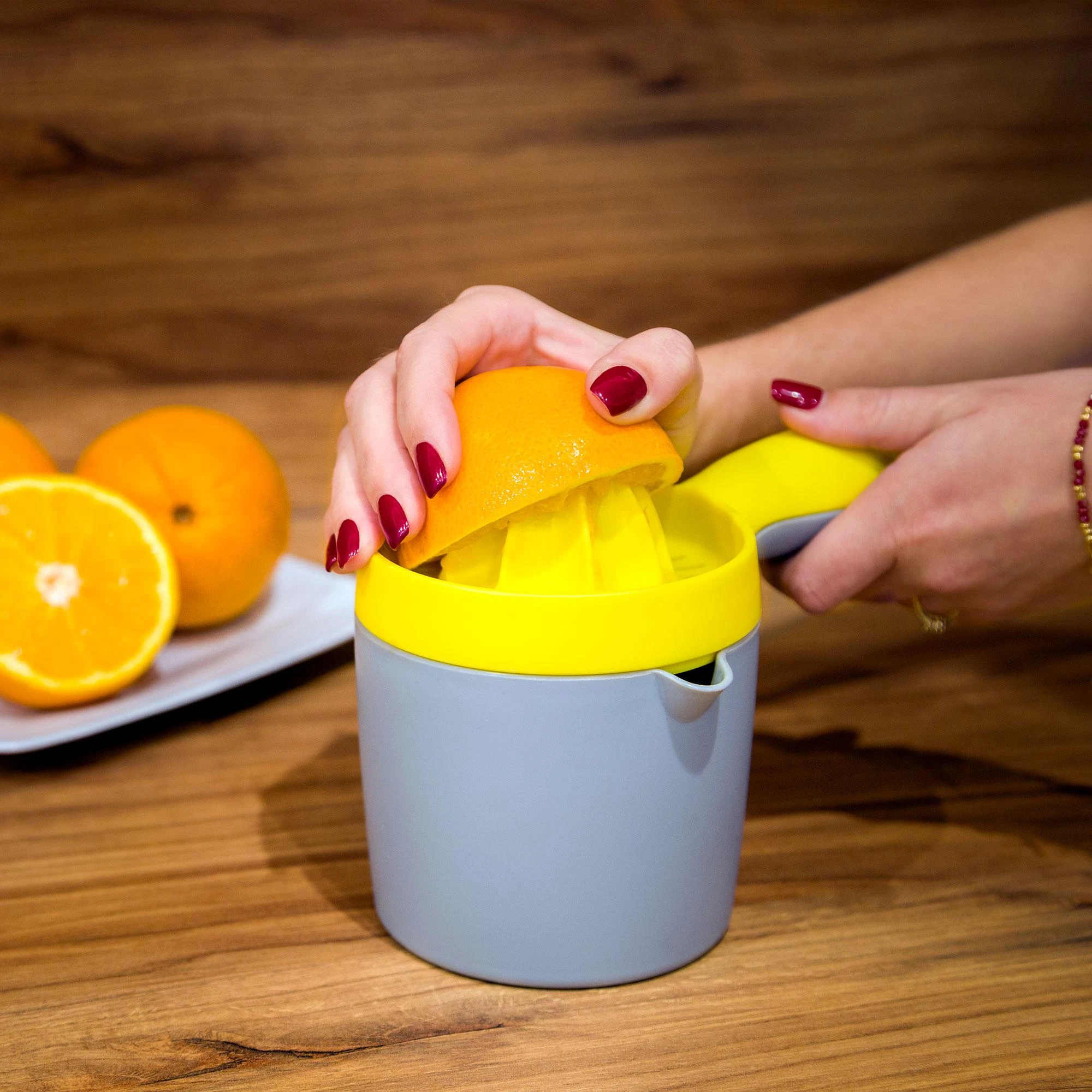 Teesa Rankinė citrusinių vaisių sulčiaspaudė