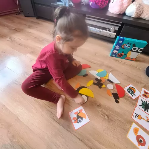 Kruzzel Medinė Montessori dėlionė - spalvotos formos 29 dalys