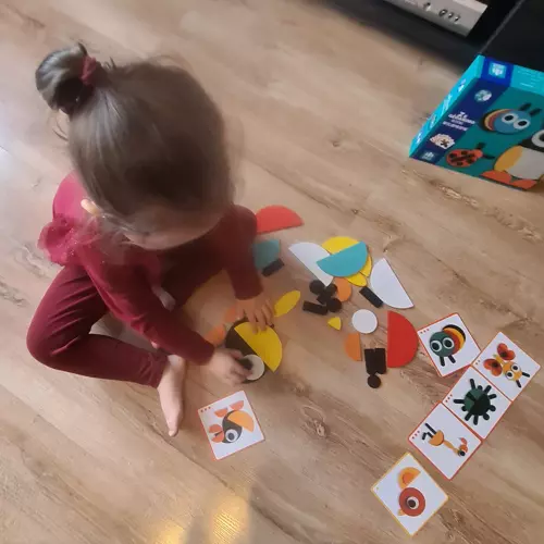Kruzzel Medinė Montessori dėlionė - spalvotos formos 29 dalys