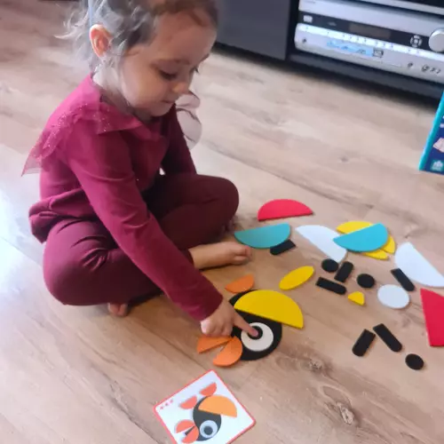 Kruzzel Medinė Montessori dėlionė - spalvotos formos 29 dalys