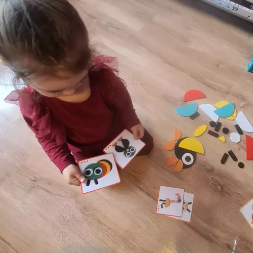 Kruzzel Medinė Montessori dėlionė - spalvotos formos 29 dalys