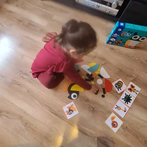 Kruzzel Medinė Montessori dėlionė - spalvotos formos 29 dalys