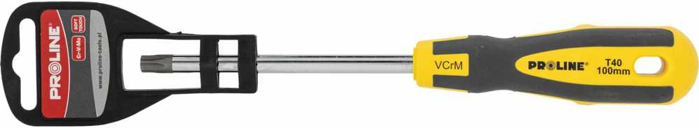 Wkrętak Torx atsuktuvas su skylute t40*100mm prof.'st' proline komplekte
