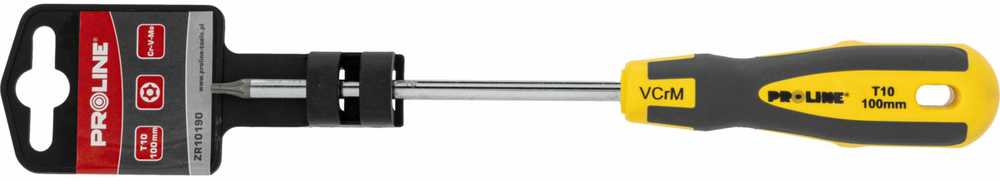 Wkrętak Torx atsuktuvas su skylute t10*100mm prof.'st' proline komplekte