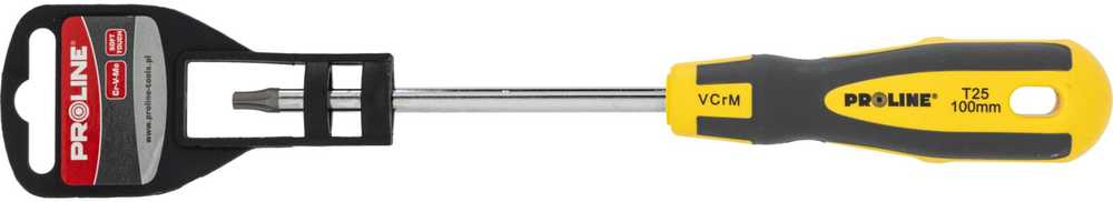 Wkrętak Torx atsuktuvas su skylute t25*100mm prof.'st' proline komplekte