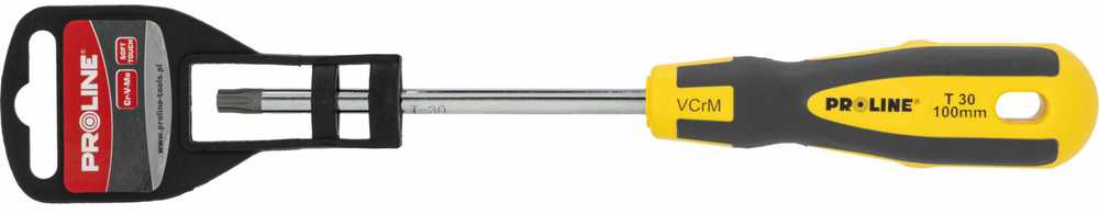 Wkrętak Torx atsuktuvas su skylute t30*100mm prof.'st' proline komplekte