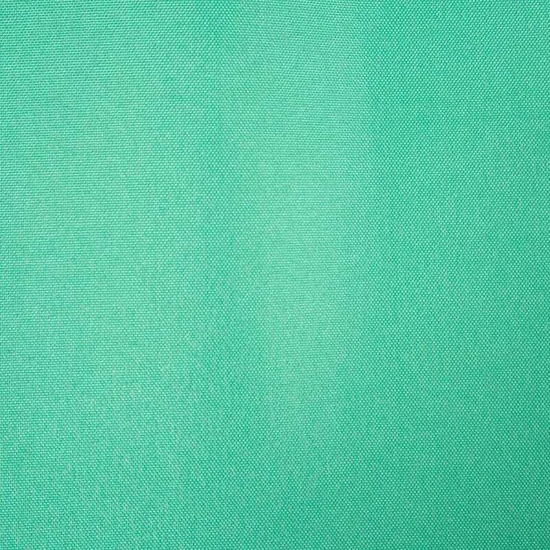 Eurofirany D91 / Z / ADORE / MINT 140X250 PAKEITIMAS