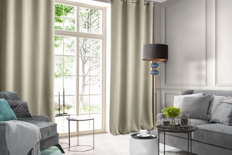 Eurofirany D91 / Z / RASA / BEIGE 140X250 PAKEITIMAS