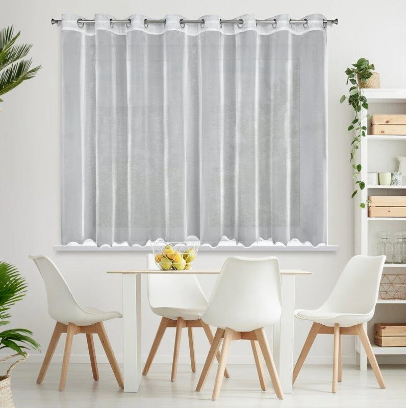 Eurofirany FIR / LIZ / 1 / B 300X145 TRANS Dieninės užuolaidos