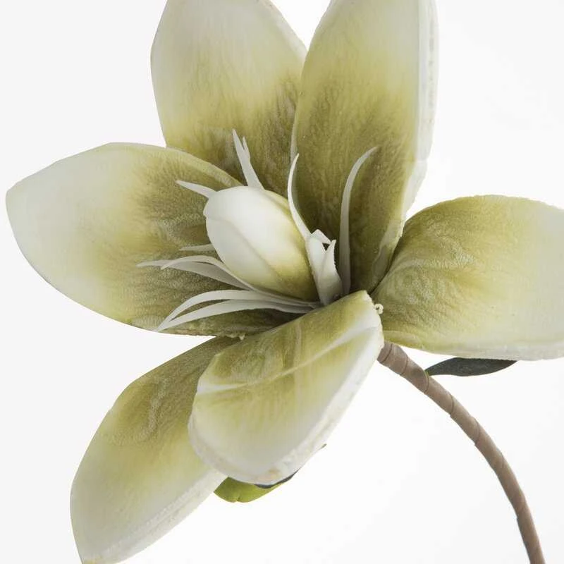 Eurofirany KW/FLORE/748/ZIE ZIEL+K