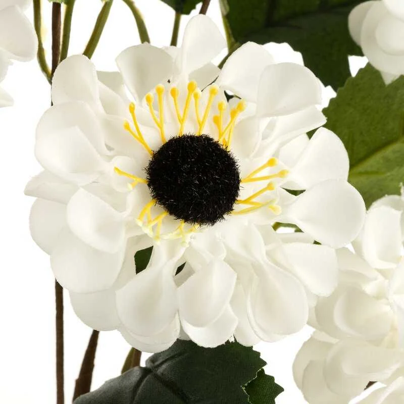 Eurofirany KW/FLORE/800/B B