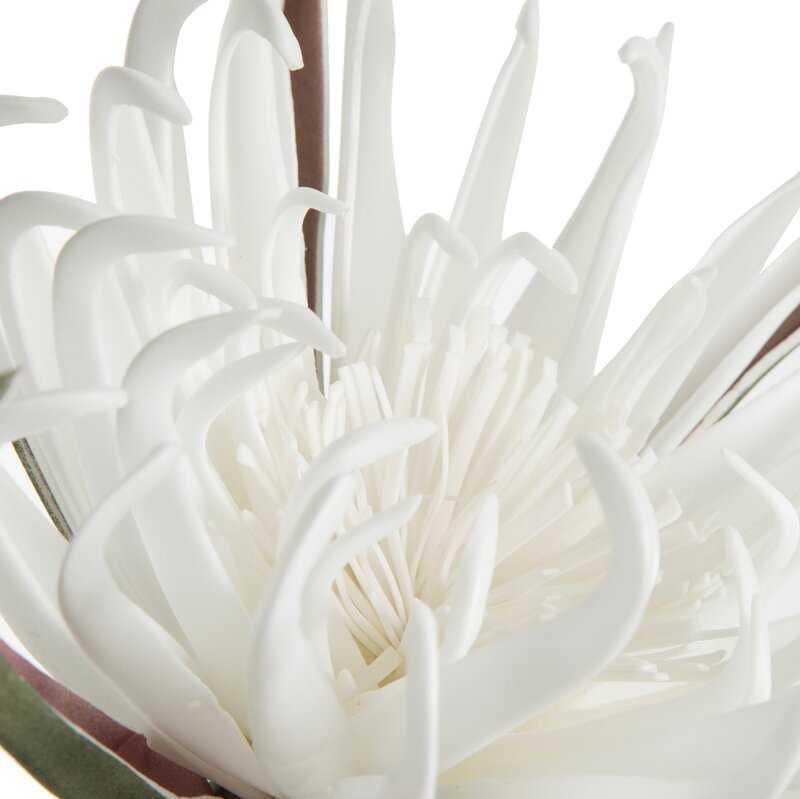 Eurofirany KW/FLORE/827/B B