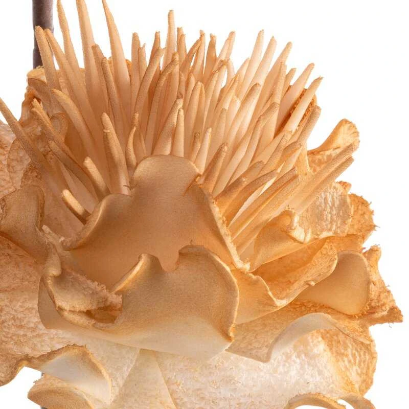 Eurofirany KW/FLORE/835/J.B J.BEIGE