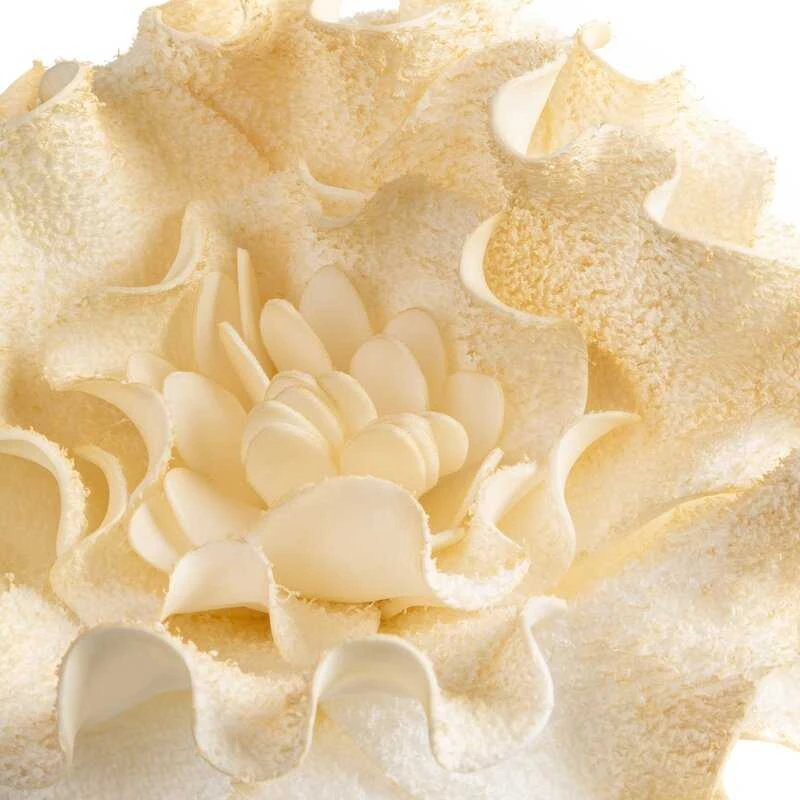 Eurofirany KW/FLORE/836/K K