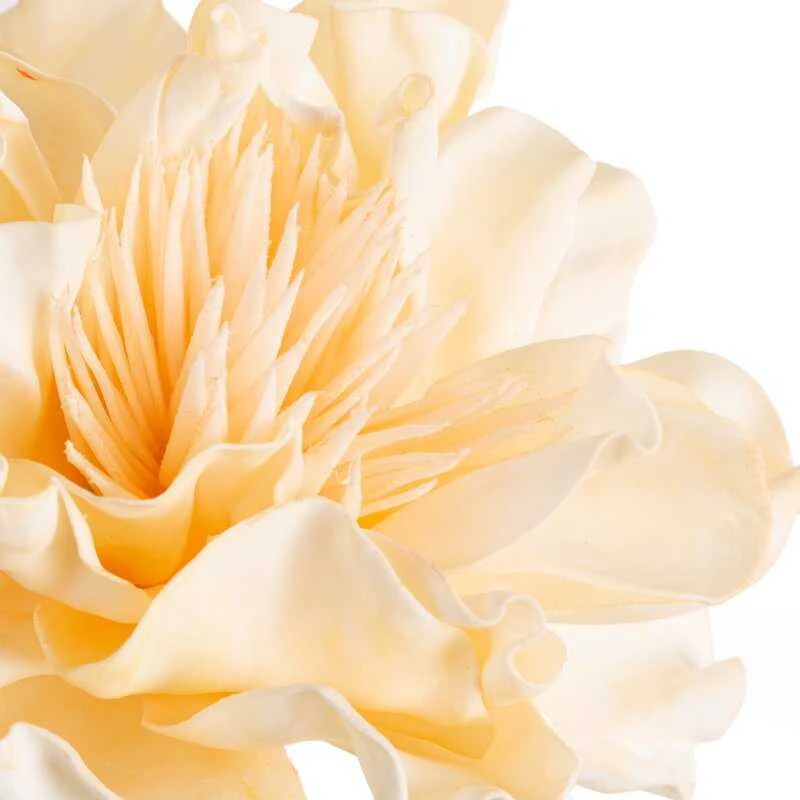 Eurofirany KW/FLORE/852/K K+GELTONA