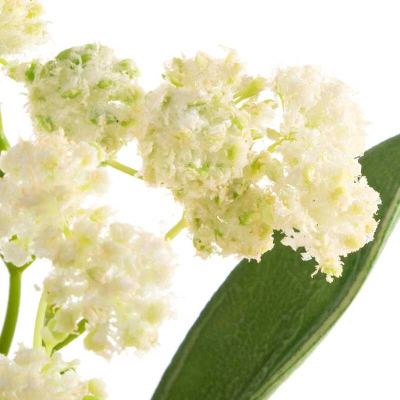 Eurofirany KW/FLORE/859/K K+TARGET