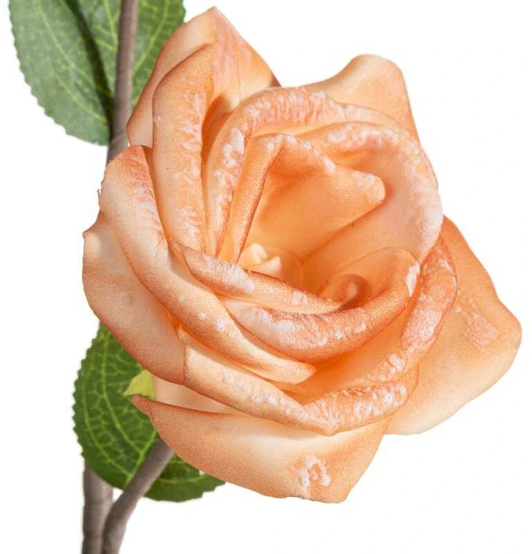 Eurofirany KW/FLORE/864/MOR MOR