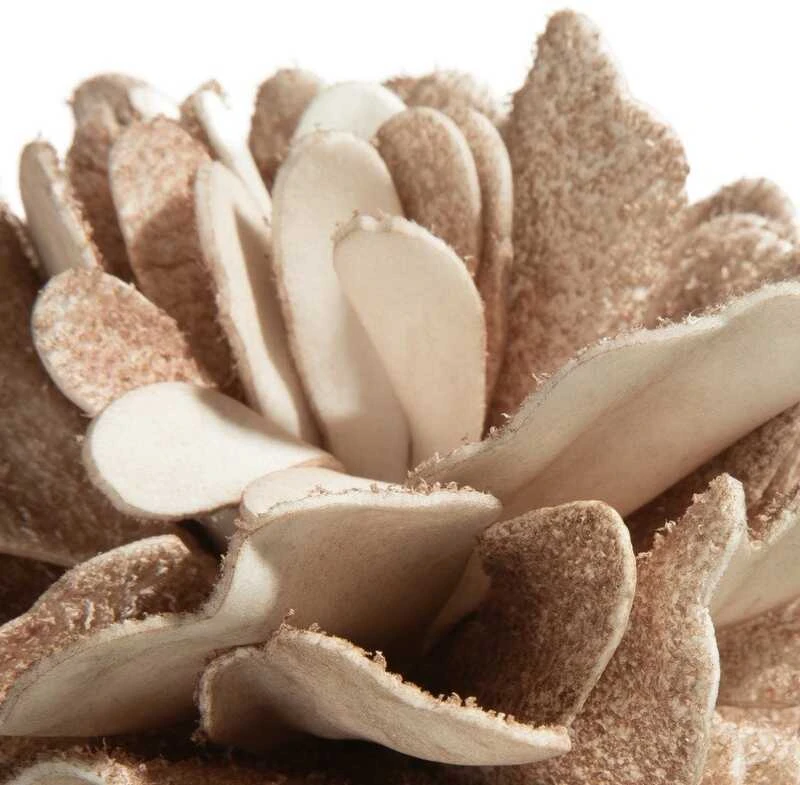 Eurofirany KW/FLORE/874/C.B C.BEIGE