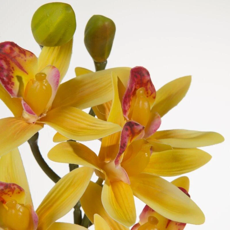 Geltona dirbtinė orchidėja su rausvu viduriuku