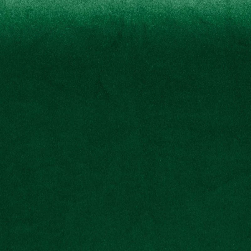 Eurofirany PIERRE CARDIN SIBEL Naktinė užuolaida iš minkšto aksomo, 260 g/m2, 140X270 cm, juosta / tunelis / kabliukai, spalva: žalia