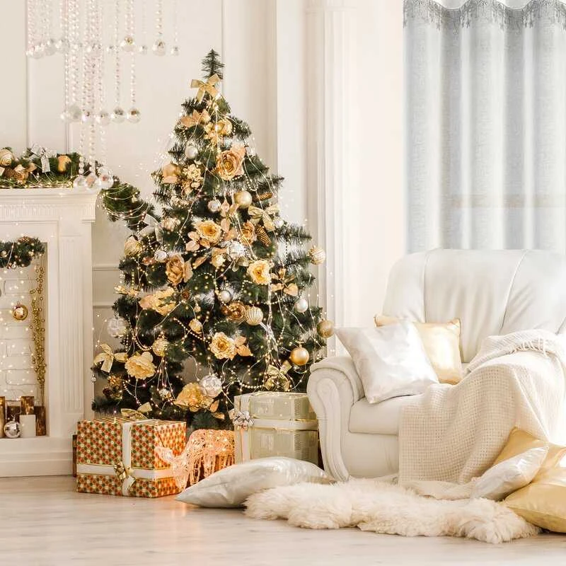 Eurofirany SW/XMAS/FIR/1/SR 140X250 PRZEL