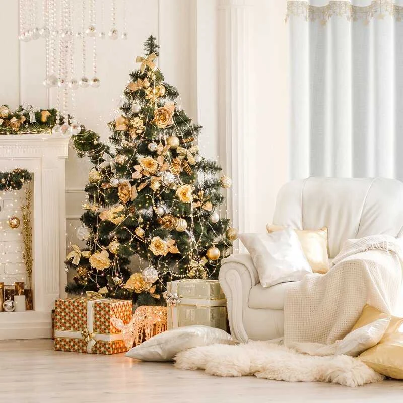 Eurofirany SW/XMAS/FIR/1/ZŁ 140X250 VERTIMAS