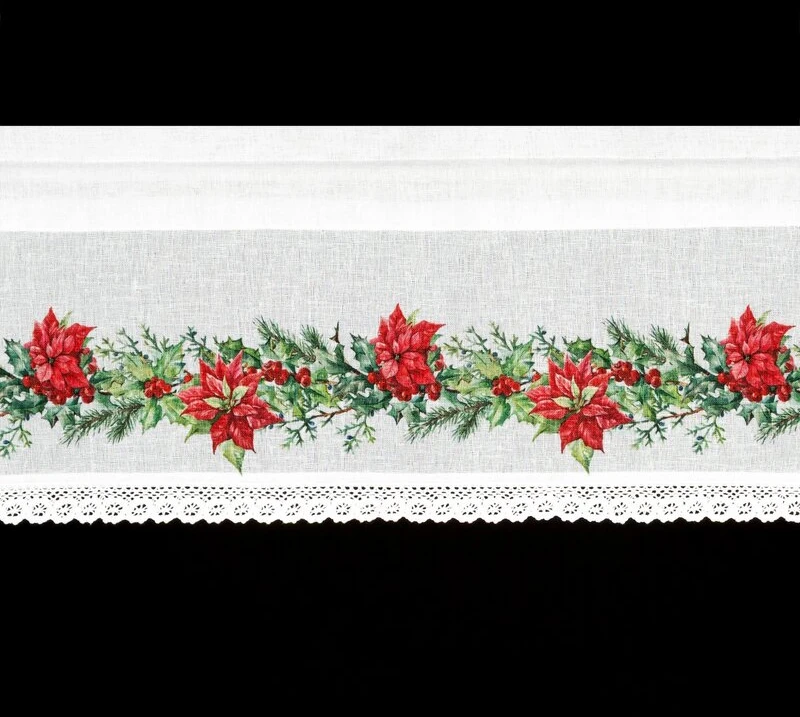 Eurofirany SW/XMAS/FIR/5 30X150 TUNEL B+CZER