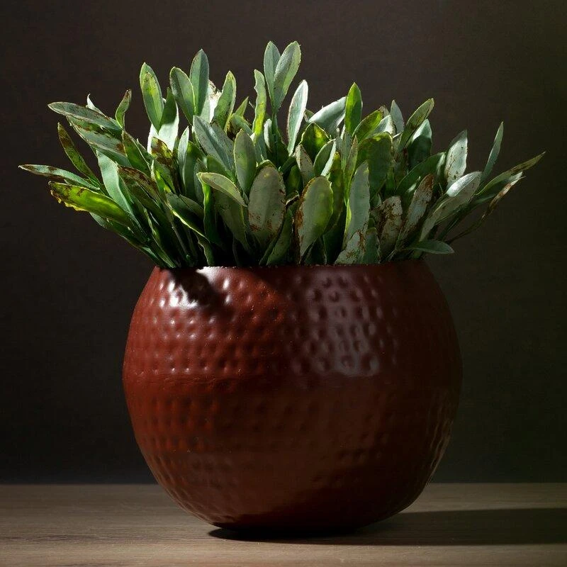 Eurofirany WY / FLOWER / 172 COPPER 20X20X20