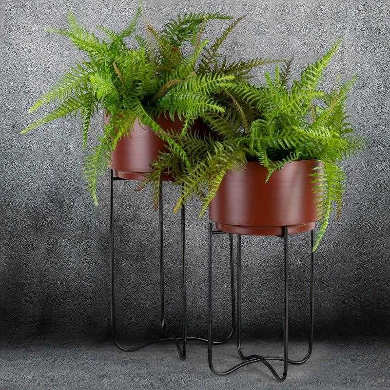 Eurofirany WY / FLOWER / 206 SET BROWN + CZAR / X2