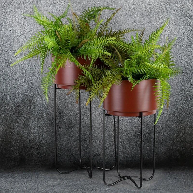Eurofirany WY / FLOWER / 206 SET BROWN + CZAR / X2