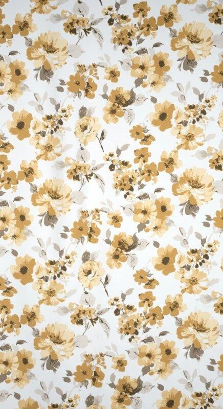 Eurofirany Užuolaidos CAREN / B + BEIGE 140X250 TRANS