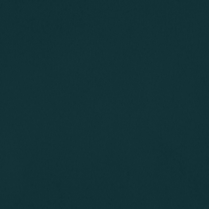 Eurofirany LOGAN blackout tipo temdanti naktinė užuolaida, 140X270 cm, kilpos / žiedai, spalva: turkio