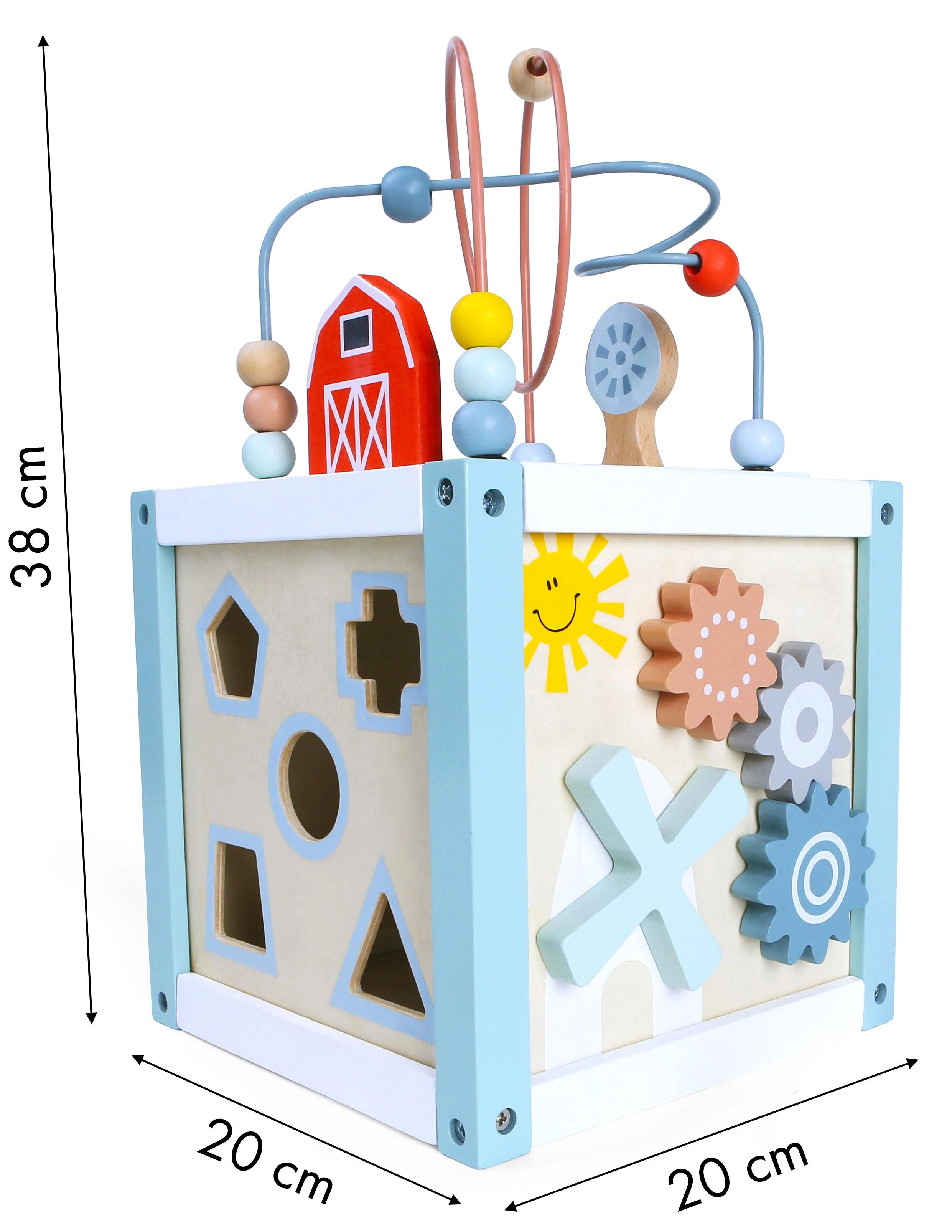 Cube Medinis veiklos kubelių rūšiuotojas su kaladėlėmis Ecotoys