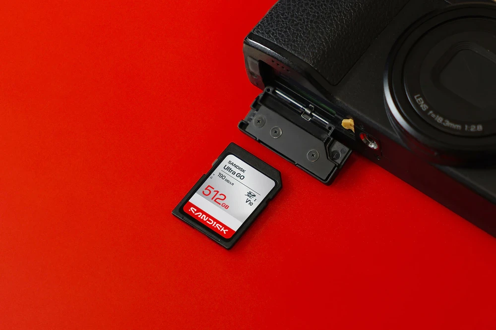 Atminties kortelė SanDisk Ultra GO SDHC 256 GB Class 10 UHS-I V10