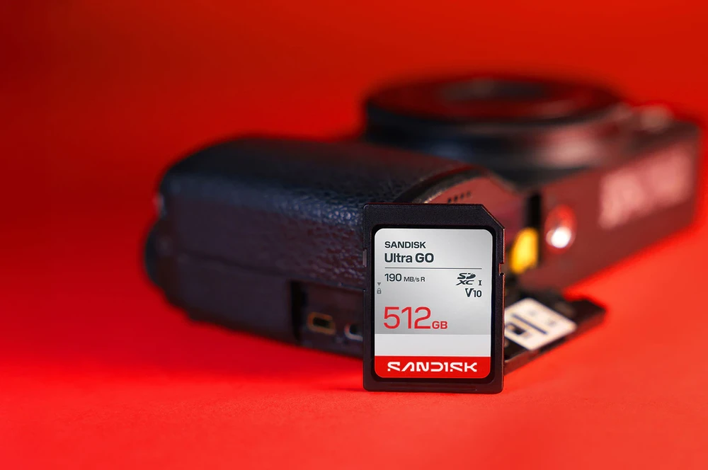 Atminties kortelė SanDisk Ultra GO SDHC 256 GB Class 10 UHS-I V10