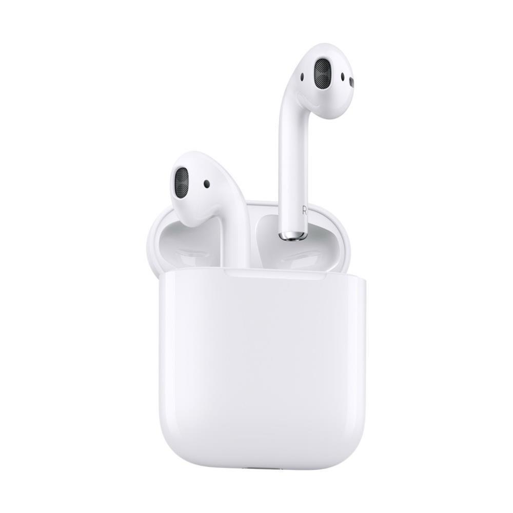 Ausinės Apple AirPods 2 su įkrovimo 