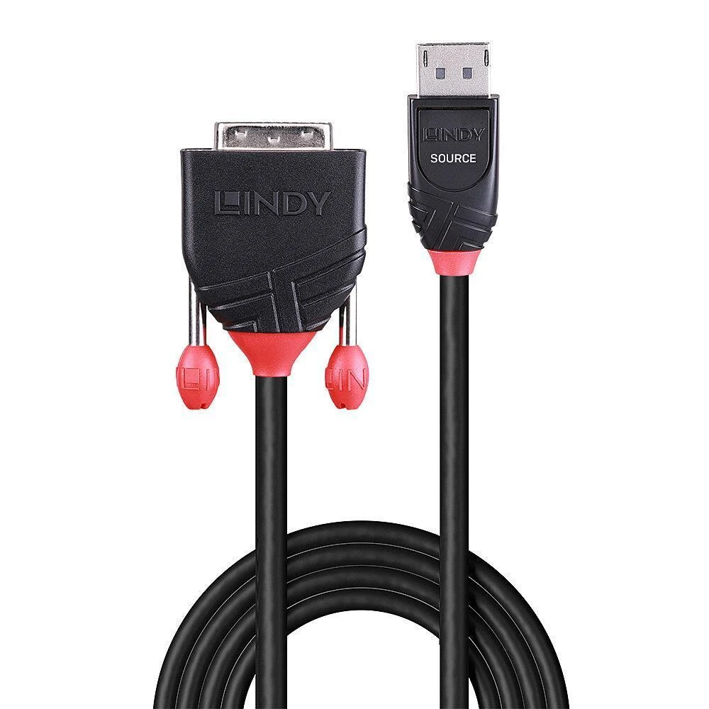 Lindy DisplayPort - DVI M/M 2m juodas