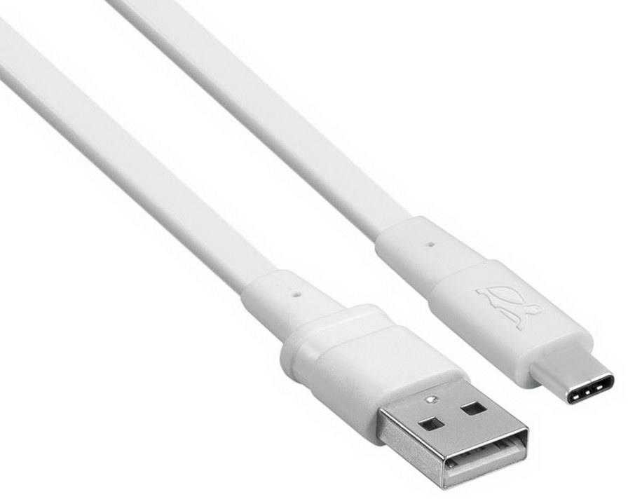 CABLE USB-C TO USB2 1.2M/Baltas PS6002 WT12 RIVACASE