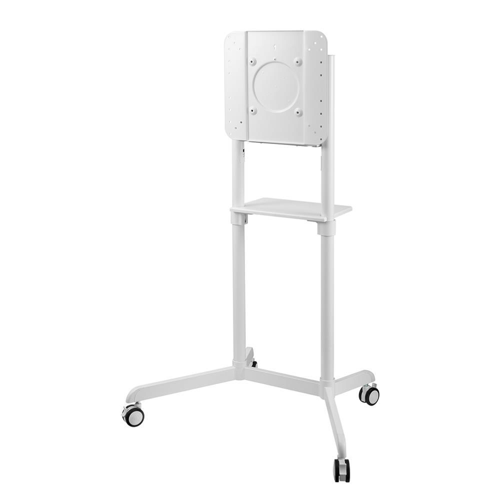 Laikiklis „Neomounts NEWSTAR“ MOBILUSIS PLOKŠČIAEKRANIO GRINDŲ STOVAS (AUKŠTIS: 160 CM) 37–70" Baltas