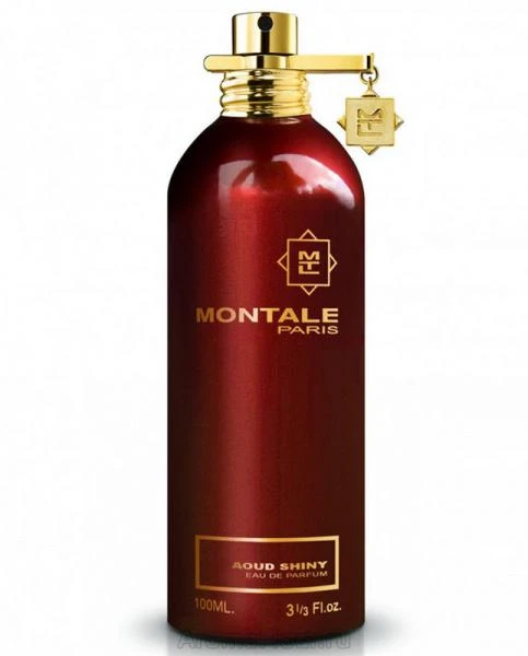 Montale Paris Aoud Shiny UNISEX (Kvepalai Vyrams ir Moterims) EDP 100ml (BE PAKUOTĖS)