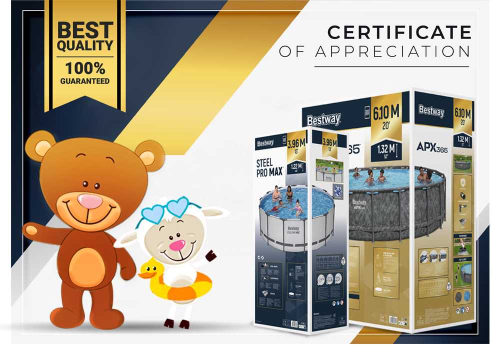 Karkasinis baseinas 366 x 100 cm Bestway 56418