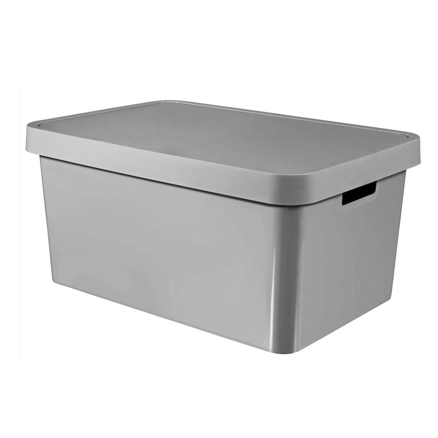 Curver dėžė su dangčiu Infinity, 45 l, pilka