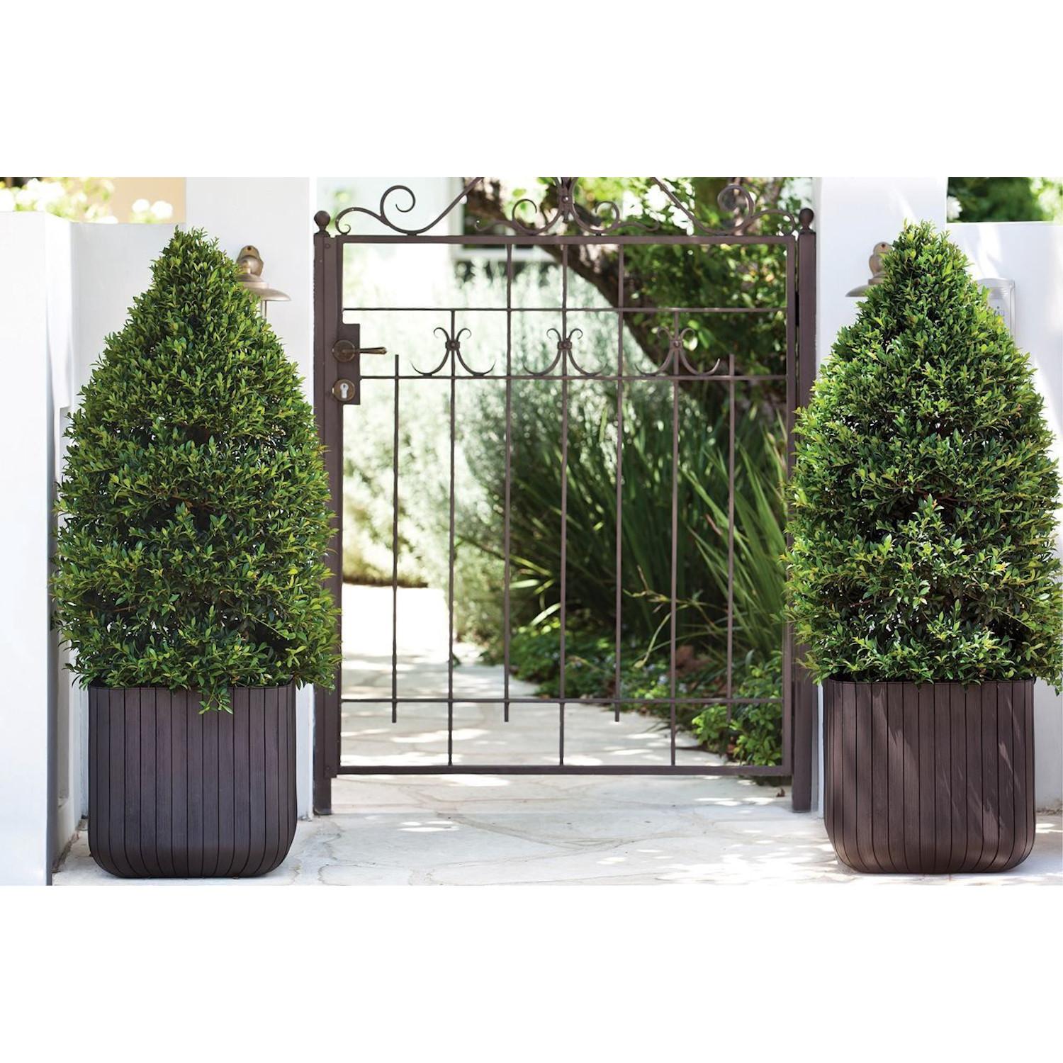 Keter Curver Cube Planter L Ruda (229533)