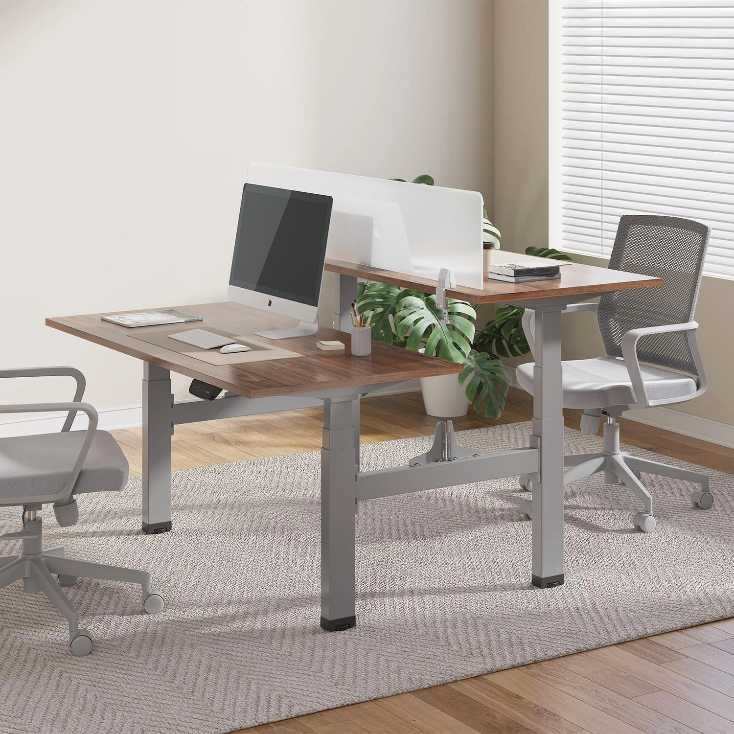 Dvigubas Ergo Office stalo rėmas su pertvara