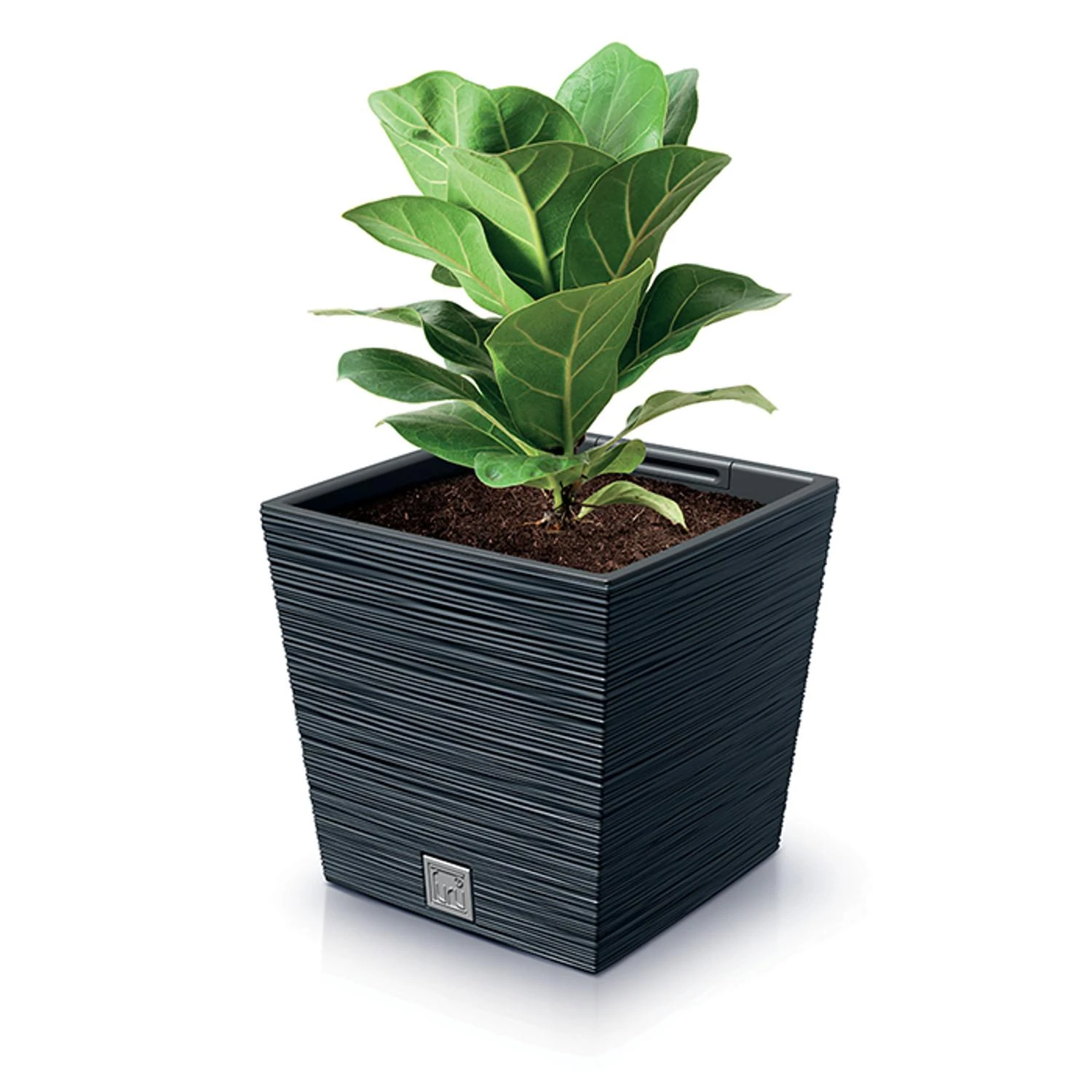 Prosperplast Vazonas FURU SQUARE LOW su įdėklu 10/7,5 L 240x240x235 mm antracito sp. Prosperp