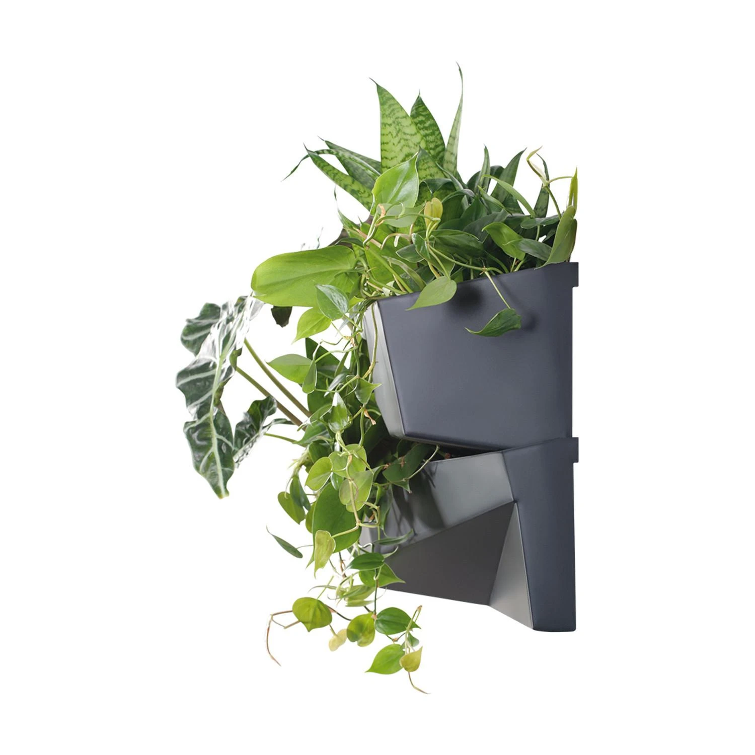 Vertikalus sodas Prosperplast Cascade Garden Wall