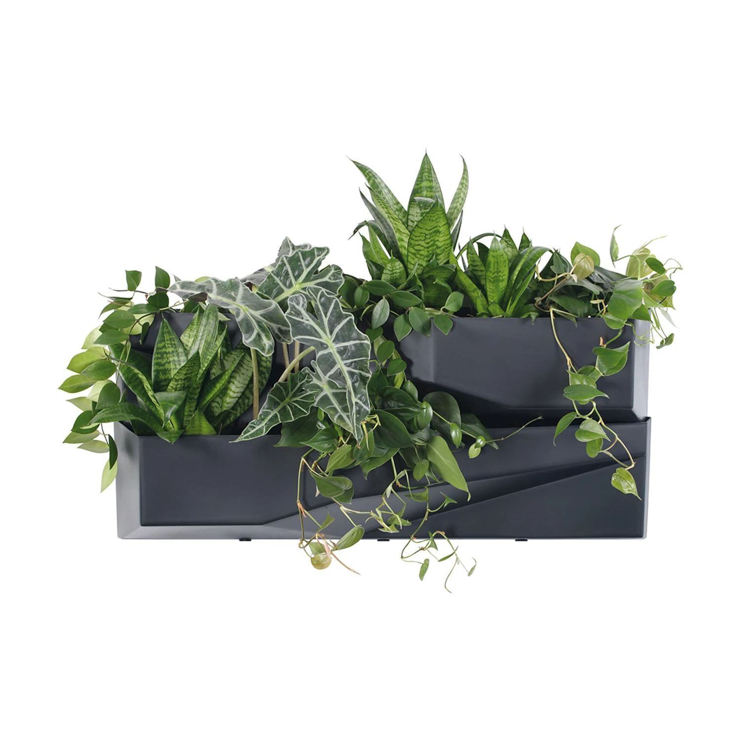 Vertikalus sodas Prosperplast Cascade Garden Wall