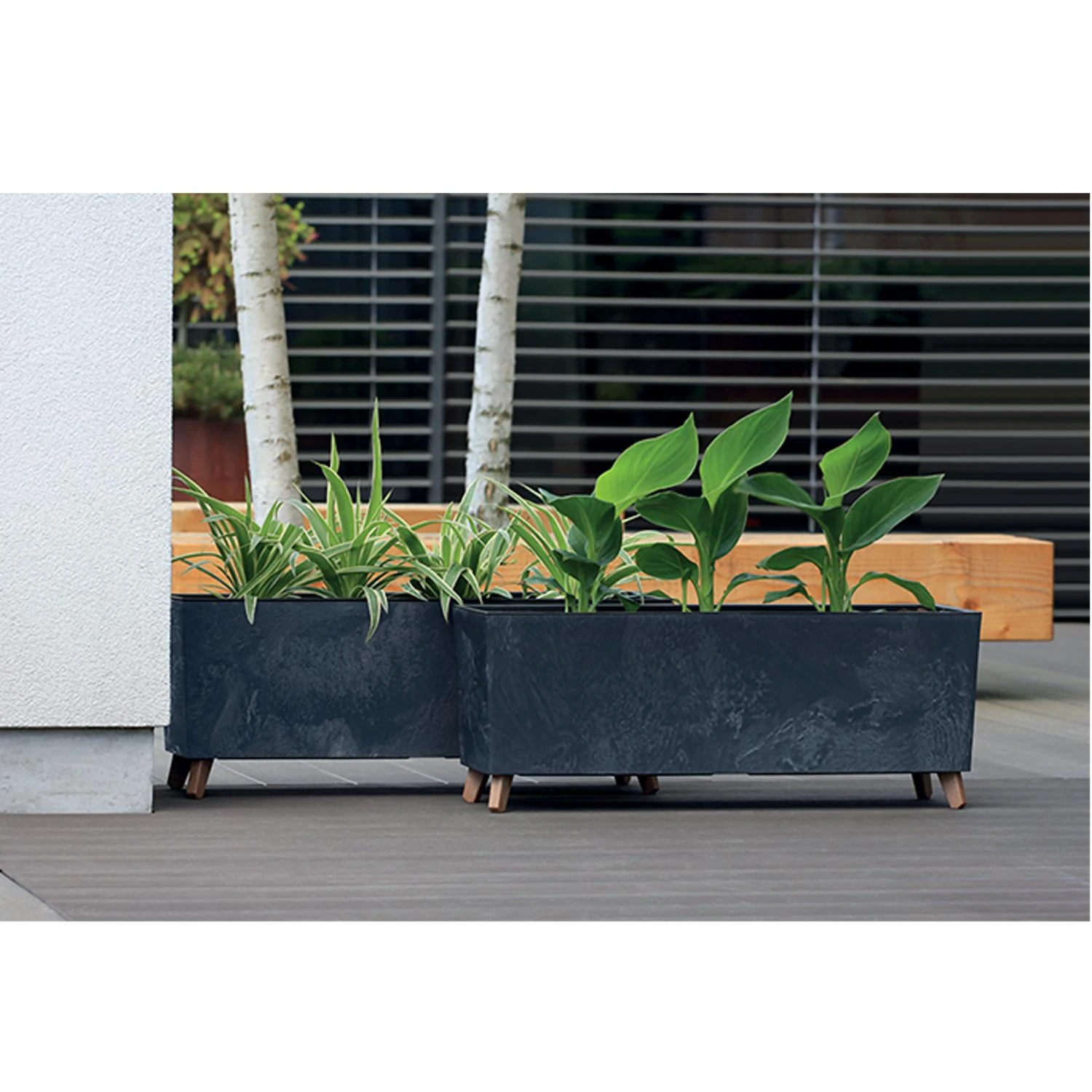 Vazonas Prosperplast URBI CASE BETON EFFECT N, CEN-81337, antracito spalvos